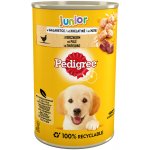 Pedigree Adult hovězí 400 g – Hledejceny.cz