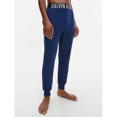 Calvin Klein jogger WIN pánské tepláky modrá