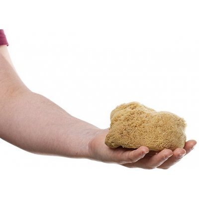MKN Mořská houba hedvábná velká nebělená – Zboží Mobilmania