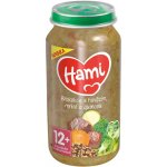 Hami Brokolice s hovězím, mrkví a quinoou 250 g – Zboží Dáma