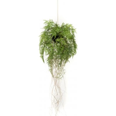 zahrada-XL Emerald Umělá závěsná kapradina s kořeny 35 cm