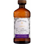 Monin Paragon Mystic Collection Labdanum 0,485 l – Zbozi.Blesk.cz