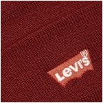Levi's Red Batwing Embroidered – Sleviste.cz