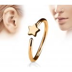 Šperky4U zlacený iercing do nosu ucha kruh s hvězdou N0053-RD – Zboží Dáma