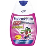 Vademecum 2v1 Junior kombinace zubní pasty a ÚV Jahoda 75 ml – Hledejceny.cz