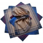 Etex pánské klasické bavlněné kapesníky 6ks – Hledejceny.cz