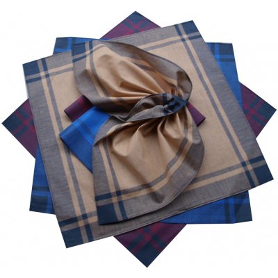 Etex pánské klasické bavlněné kapesníky 6ks – Hledejceny.cz