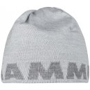 Mammut Logo Beanie highway granit