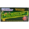 Ocean Nutrition Brine Shrimp Eggs Pre-Mix 30 g