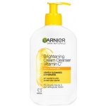 Garnier Skin Naturals Clarifying Wash 200 ml – Zboží Dáma