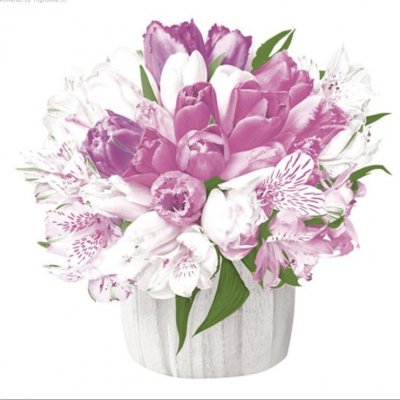 Ubrousek 33 x 33 cm TULIPÁNY VE VÁZE – Zbozi.Blesk.cz