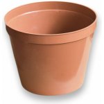 květ. d18cm Standard TER – Hledejceny.cz