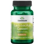 Swanson Lactobacillus Gasseri 3 miliardy CFU 60 rostlinných kapslí – Hledejceny.cz
