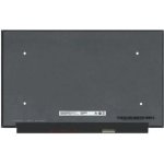 Dell Alienware M15 R4 display 15.6" 300Hz LED LCD displej Full HD 1920x1080 matný povrch – Zboží Živě