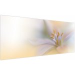 Obraz - Jemný květ, jednodílný 250x125 cm – Hledejceny.cz