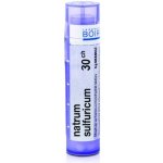 NATRUM SULFURICUM POR 30CH GRA 4G – Hledejceny.cz