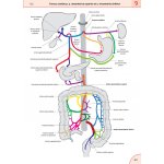 Memorix anatomie - 6. české vydání – Zboží Dáma Memorix anatomie - 6. české vydání – Zboží Dáma
