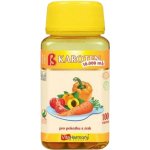 VitaHarmony Beta karoten 10.000 100 tablet – Hledejceny.cz