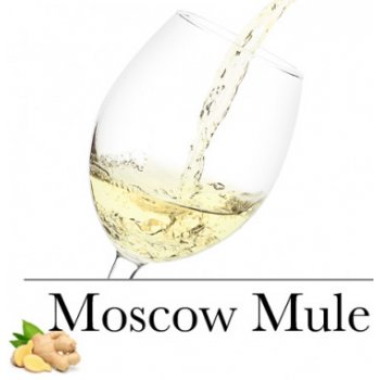 Moscow Mule 1 l PET (stáčené včetně lahve)