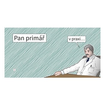 Pan primář v praxi