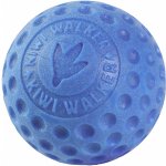 Kiwi Walker Hračka pes BALL MAXI plov. z TPR pěny – Zboží Dáma