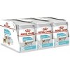 Kapsička pro psy Royal Canin Urinary Care Dog Loaf 36 x 85 g