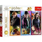 Trefl Harry Potter 13277 200 dílků – Hledejceny.cz
