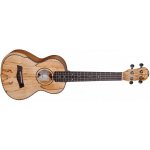 BARNES & MULLINS BMUK9T – Hledejceny.cz