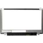 Asus ChromeBook C223 display 11.6" LED LCD displej WXGA HD 1366x768 lesklý povrch – Zboží Živě