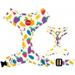 Reedog Postroj PUPPY – Zboží Mobilmania