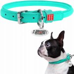 Waudog Obojek pro psa kožený – Sleviste.cz