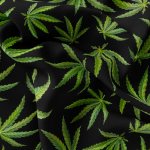 IMPAR Fleece – Cannabis – Hledejceny.cz