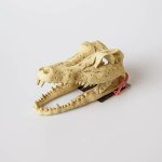Repti Planet Krokodýl lebka 13,8 x 6,8 x 6,5 cm – HobbyKompas.cz