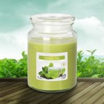 Bispol Aura Maxi Green Tea 500 g – Zbozi.Blesk.cz
