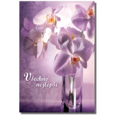 Ditipo hrací přání k narozeninám BÍLÁ ORCHIDEJ/Eva a Vašek fialová orchidej