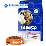 Iams ProActive Health Adult Multi Cat kuře & losos 15 kg – Sleviste.cz