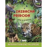 Zázračná příroda – Lesy a pralesy - neuveden – Zbozi.Blesk.cz