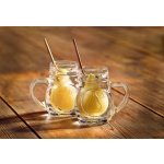 Gastrozone Sklenice na pálenku Williams Hruškovice 12 x 40 ml – Hledejceny.cz