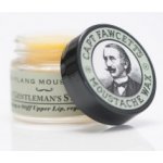 Captain Fawcett Moustache Wax vosk na knír Ylag Ylang 15 ml – Zbozi.Blesk.cz