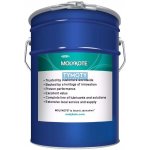 Molykote Multigliss 5 l – Hledejceny.cz