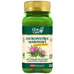 VitaHarmony Ostropestřec mariánský sily.140 mg 110 tablet – Hledejceny.cz