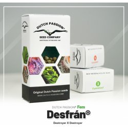 Dutch Passion AUTO Desfran semena neobsahují THC 3 ks