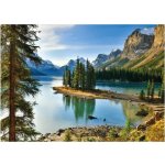 Dino Jezero Maligne 1000 dílků – Hledejceny.cz