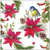 Ubrousek na decoupage Eko ubrousky na dekupáž Bird on Poinsettia