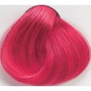Black Sintesis barva na vlasy F888 růžová fuchsie 100 ml
