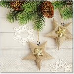 PAW Ubrousky TaT Eco Stars 33x33cm – Zboží Dáma