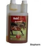 NutriHorse Aminosol 1 l – Sleviste.cz