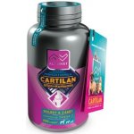 Cartilan MSM+kurkumin 100 tbl – HobbyKompas.cz