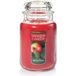 Yankee Candle Macintosh 623 g – Hledejceny.cz