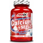 Amix Calcium + Magnesium + Zinek 100 tablet – Hledejceny.cz